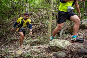 BIB: 
                            <button type="button" onclick="openModal(19381607)" class="btn btn-primary btn-sm float-right btn-popup" data-toggle="modal" data-target=".modal-high-quality">
                        <i class="fas fa-shopping-cart"></i> Add to Cart
                    </button>
                                            <button type="button" onclick="isThisMe(19381607, true)" class="btn btn-success btn-sm float-right btn-popup btn-isme hidden" data-toggle="tooltip" data-placement="bottom" title="นี่คือรูปของคุณใช่ไหม คลิกที่นี่เพื่อเอาเข้าอัลบั้ม">
                        <i class="fas fa-plus"></i> Add to album
                    </button>
                    <button type="button" onclick="isThisMe(19381607, false)" class="btn btn-warning btn-sm float-right btn-popup btn-isnotme hidden">
                        <i class="fas fa-ban"></i> Remove from album
                    </button>